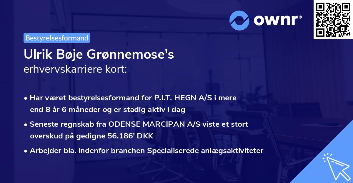 Ulrik Bøje Grønnemose's erhvervskarriere kort