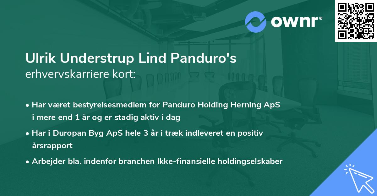 Ulrik Understrup Lind Panduro's erhvervskarriere kort