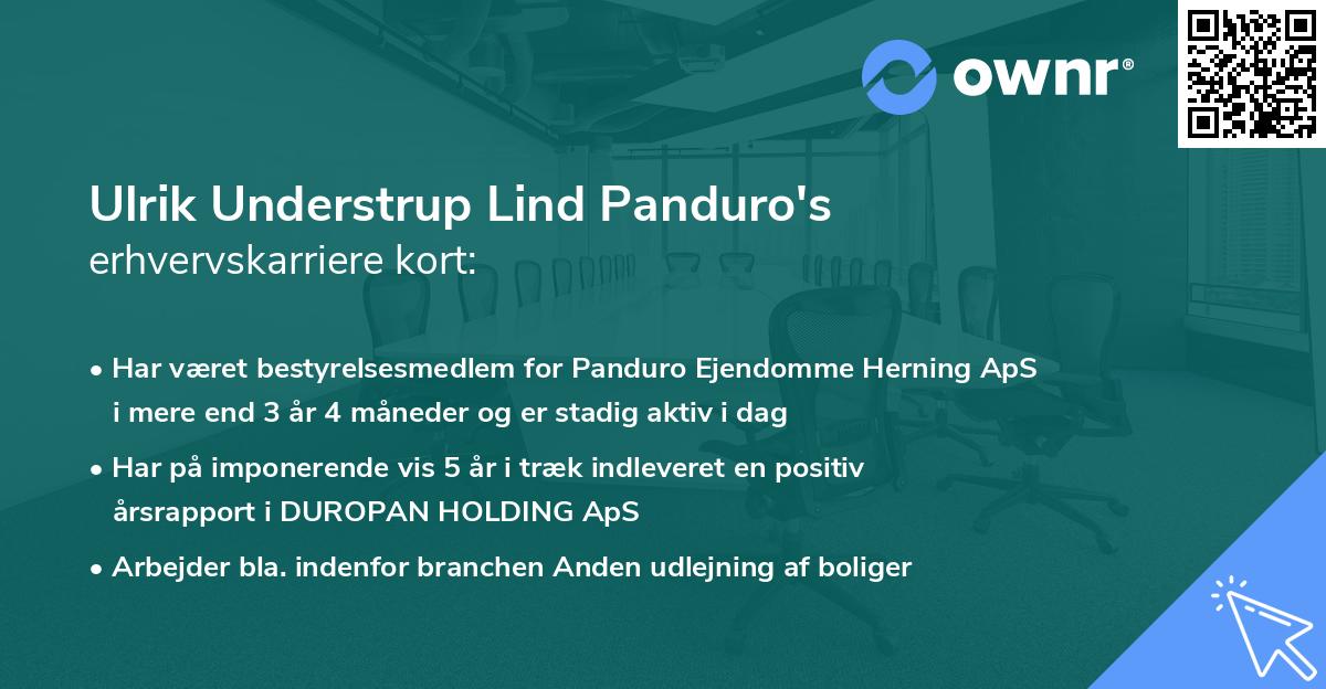 Ulrik Understrup Lind Panduro's erhvervskarriere kort