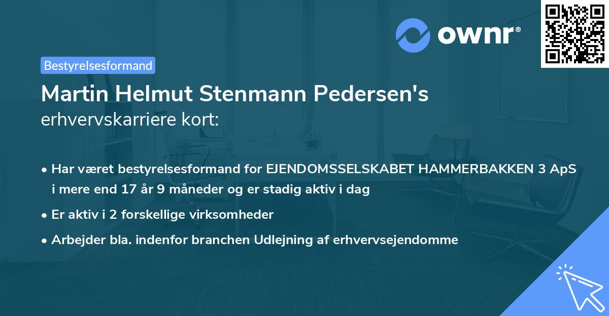 Martin Helmut Stenmann Pedersen's erhvervskarriere kort