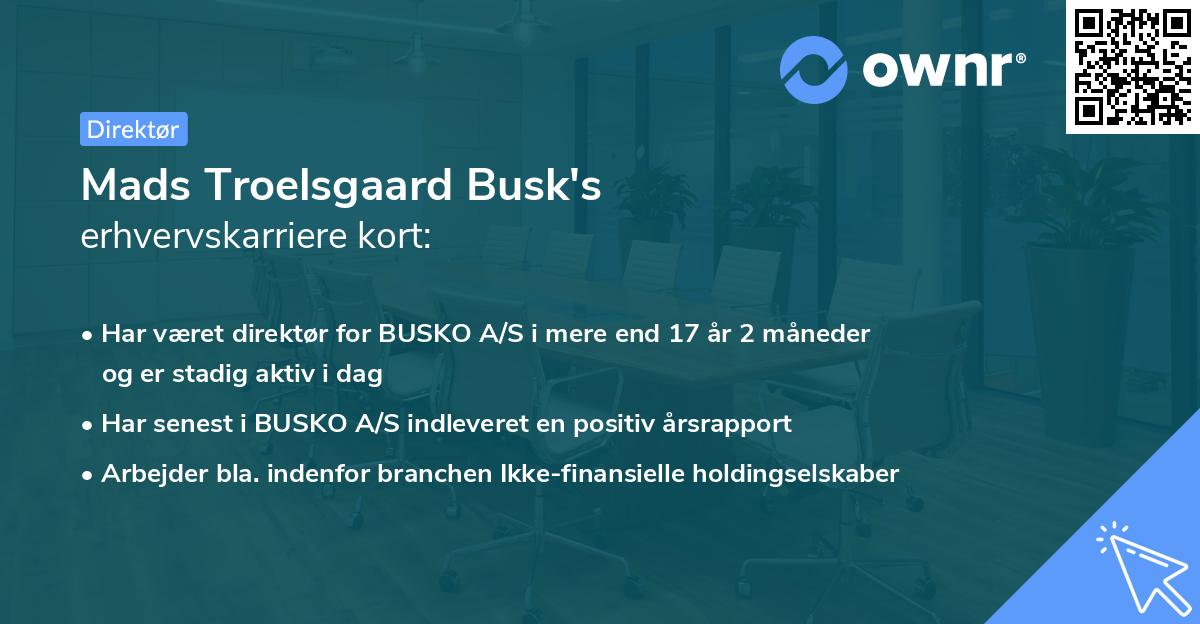 Mads Troelsgaard Busk's erhvervskarriere kort