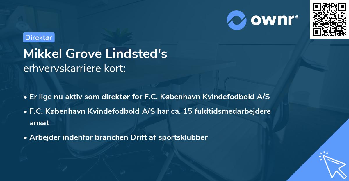 Mikkel Grove Lindsted's erhvervskarriere kort