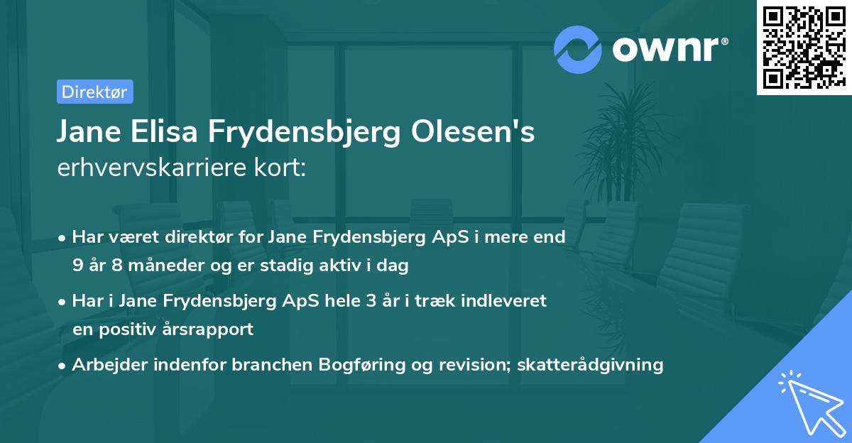 Jane Elisa Frydensbjerg Olesen's erhvervskarriere kort