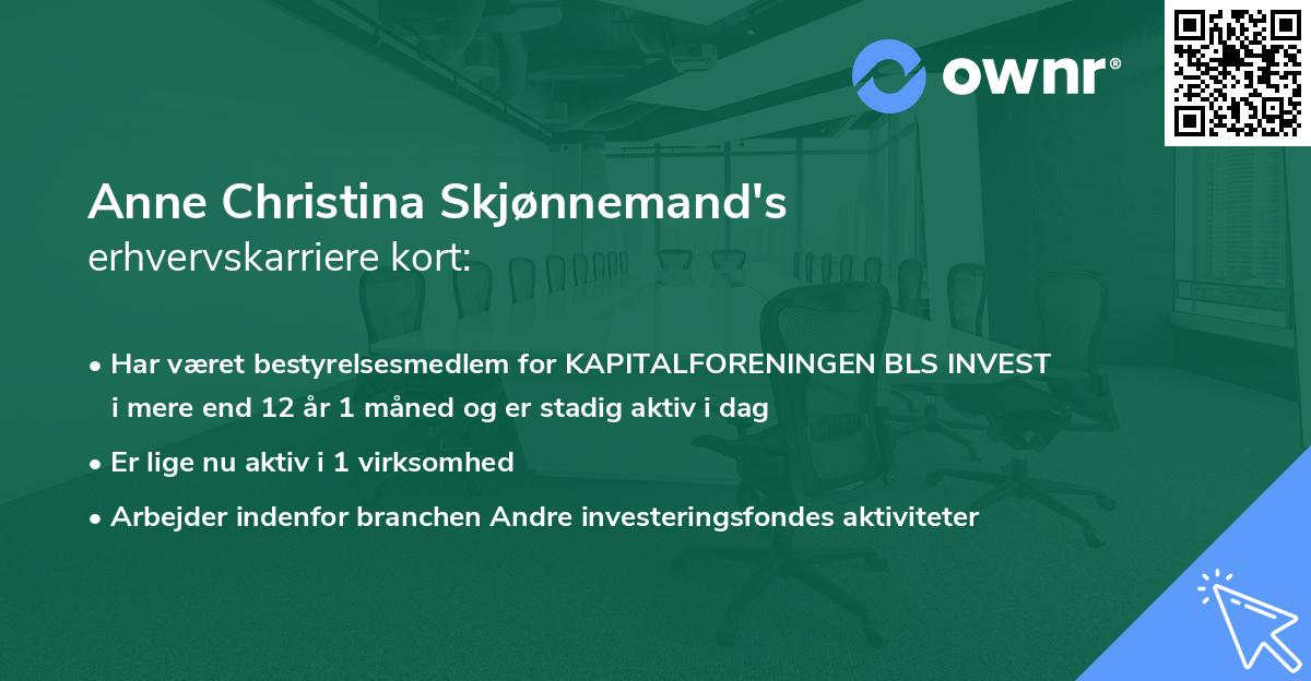 Anne Christina Skjønnemand's erhvervskarriere kort