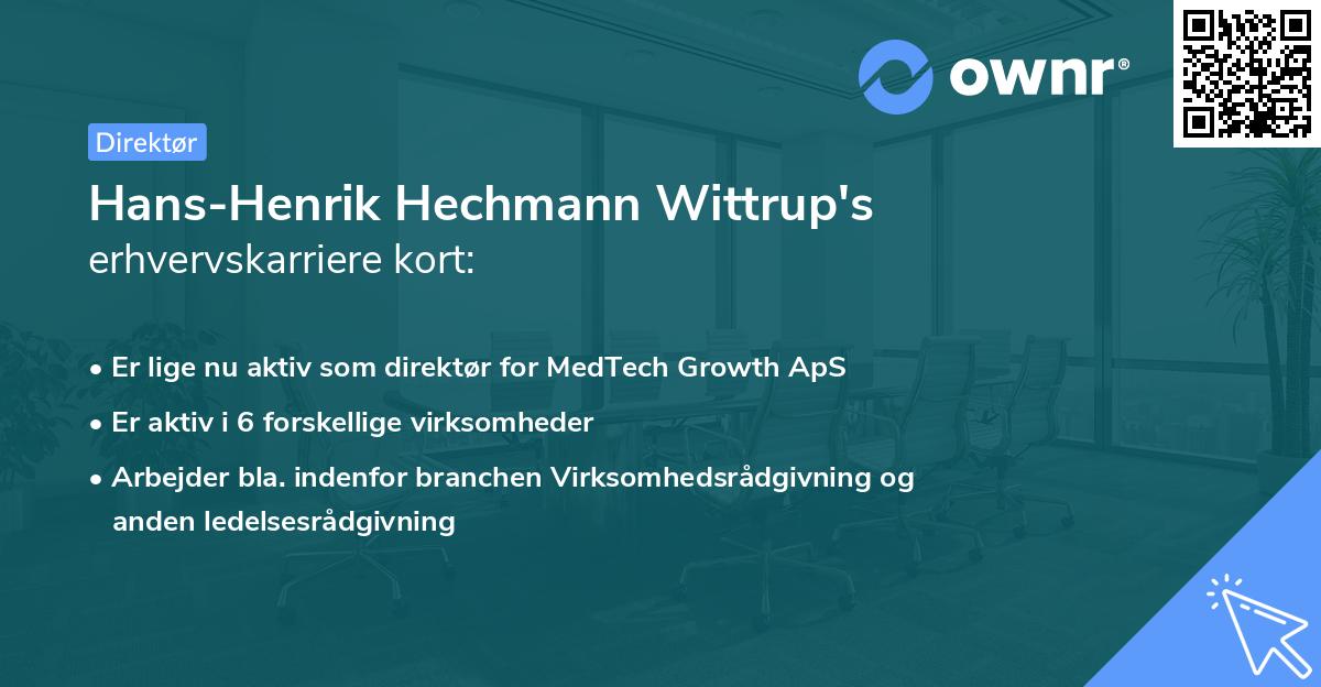 Hans-Henrik Hechmann Wittrup's erhvervskarriere kort