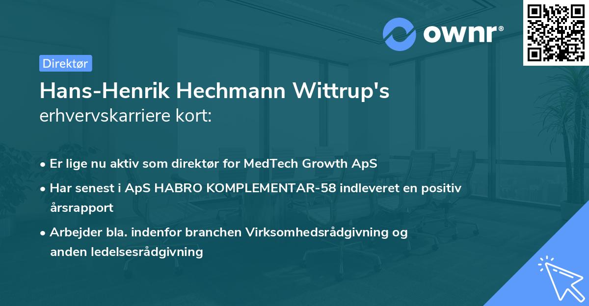 Hans-Henrik Hechmann Wittrup's erhvervskarriere kort