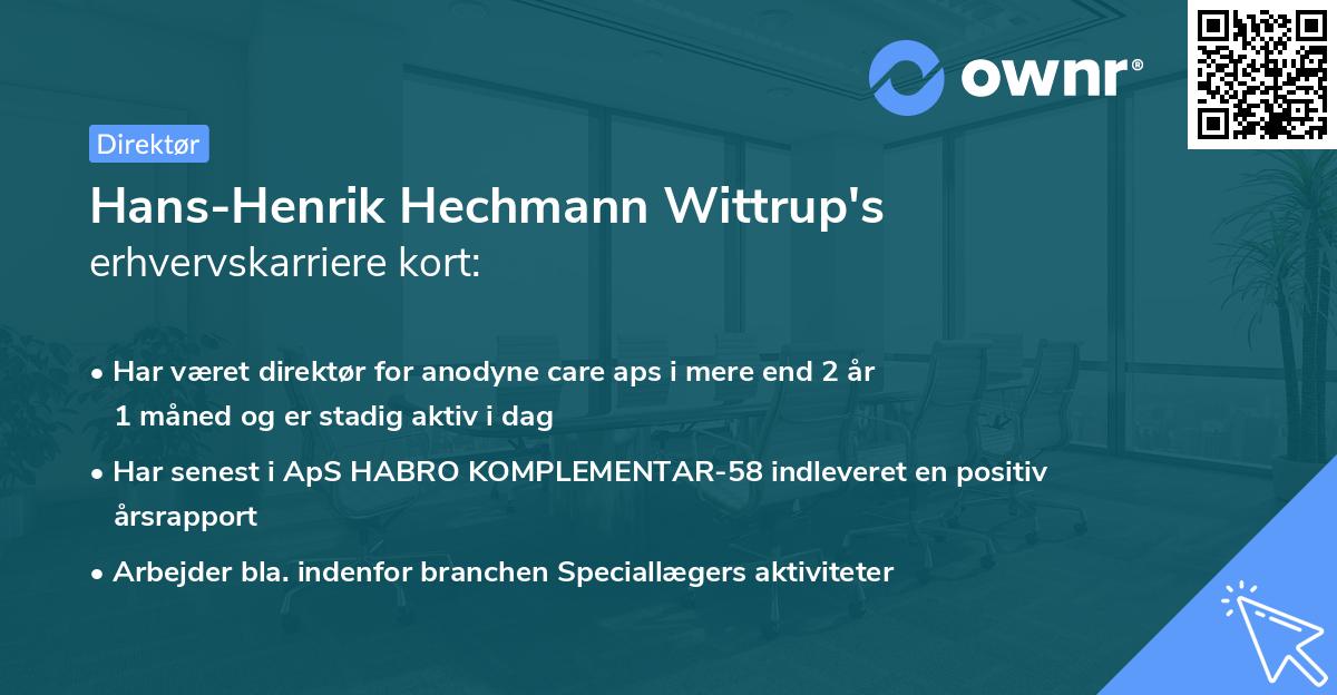 Hans-Henrik Hechmann Wittrup's erhvervskarriere kort