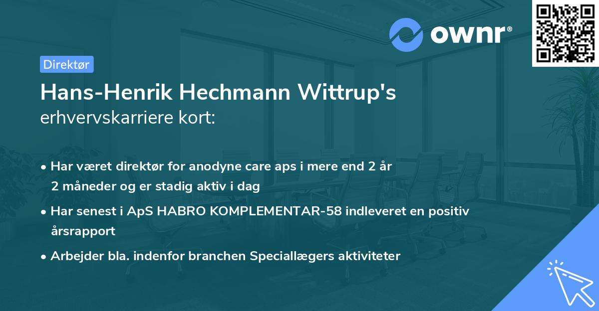 Hans-Henrik Hechmann Wittrup's erhvervskarriere kort