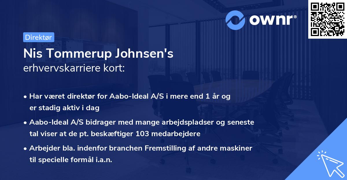 Nis Tommerup Johnsen's erhvervskarriere kort