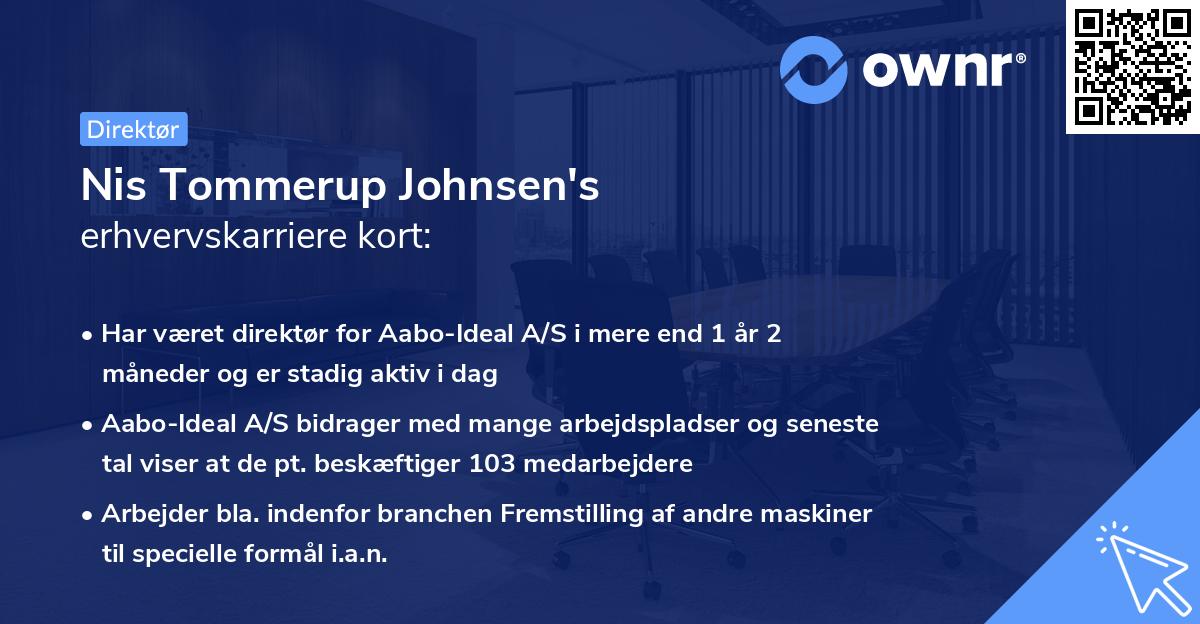 Nis Tommerup Johnsen's erhvervskarriere kort