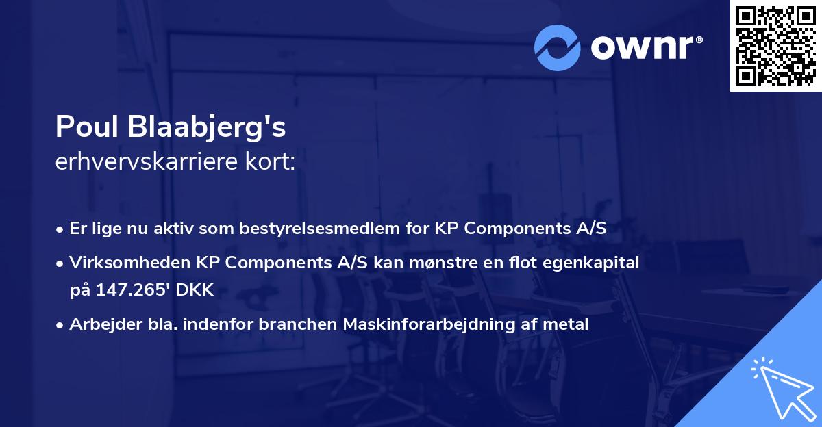 Poul Blaabjerg's erhvervskarriere kort