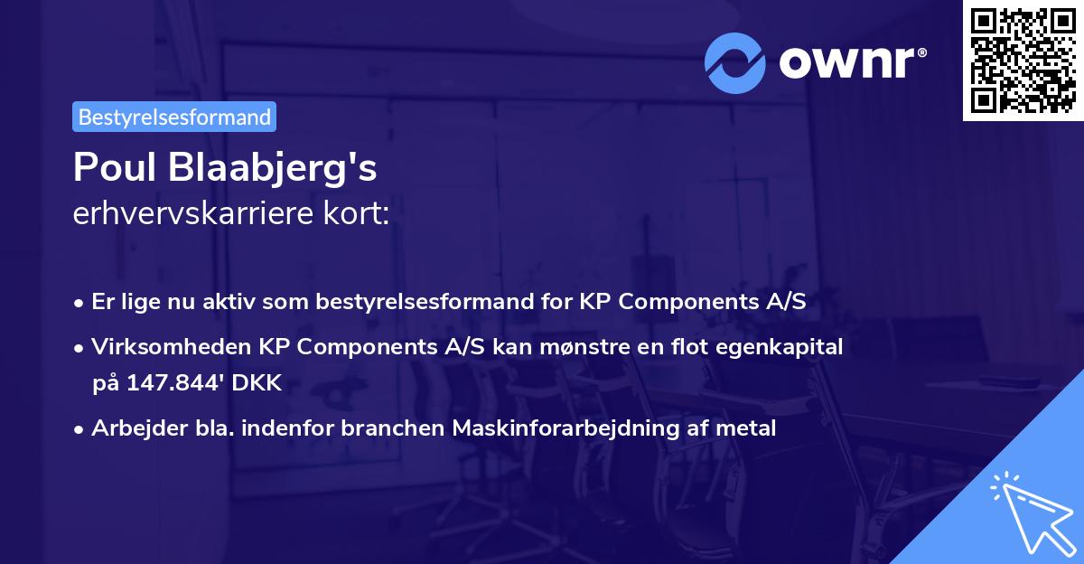 Poul Blaabjerg's erhvervskarriere kort