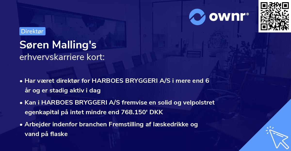 Søren Malling's erhvervskarriere kort