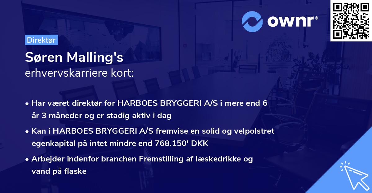 Søren Malling's erhvervskarriere kort