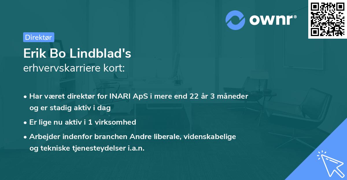 Erik Bo Lindblad's erhvervskarriere kort