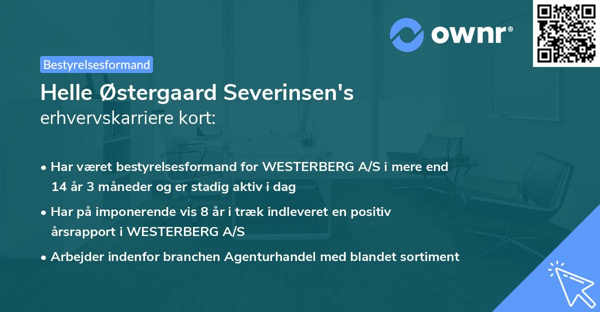 Helle Østergaard Severinsen's erhvervskarriere kort