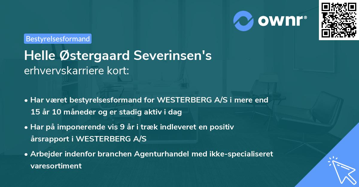 Helle Østergaard Severinsen's erhvervskarriere kort