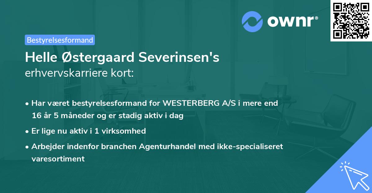 Helle Østergaard Severinsen's erhvervskarriere kort