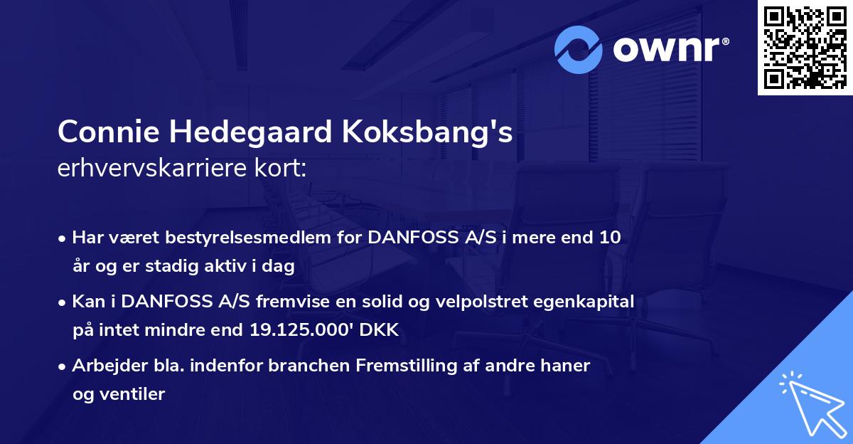 Connie Hedegaard Koksbang's erhvervskarriere kort