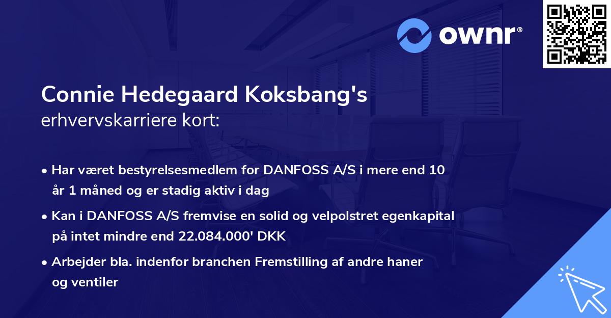 Connie Hedegaard Koksbang's erhvervskarriere kort