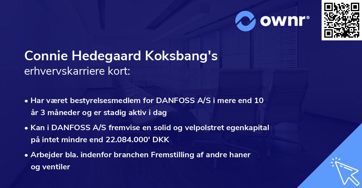Connie Hedegaard Koksbang's erhvervskarriere kort