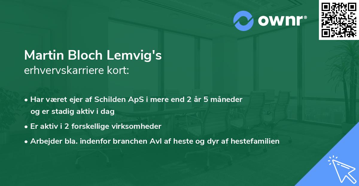 Martin Bloch Lemvig's erhvervskarriere kort
