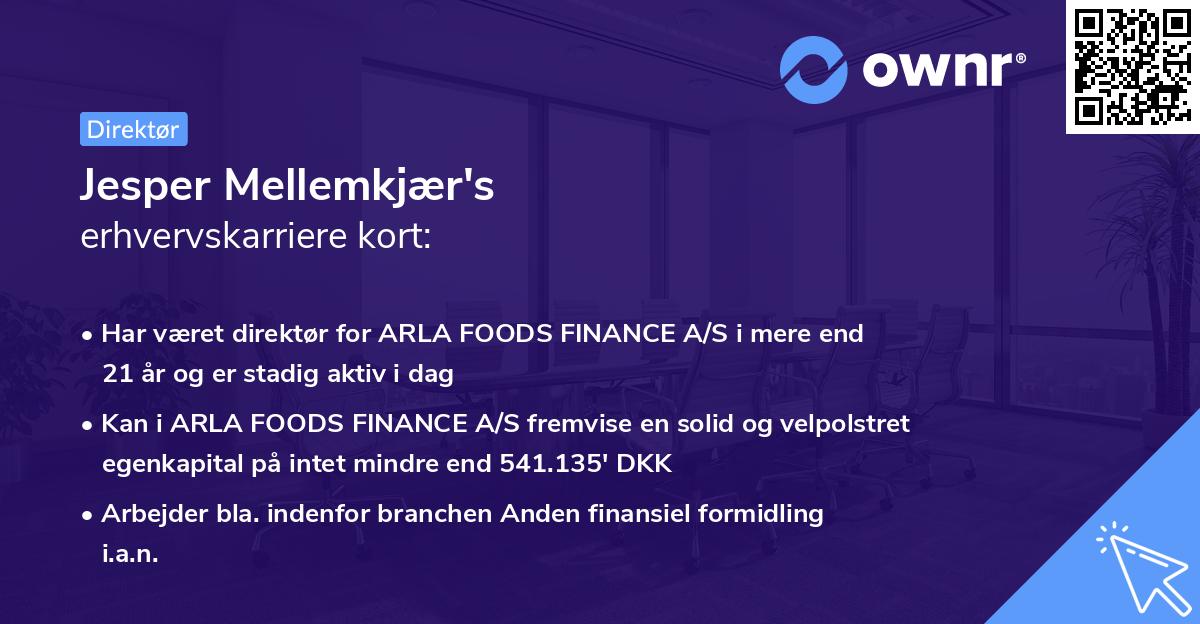 Jesper Mellemkjær's erhvervskarriere kort