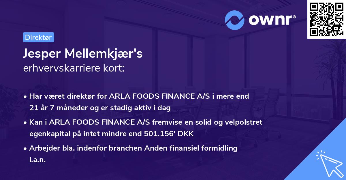 Jesper Mellemkjær's erhvervskarriere kort