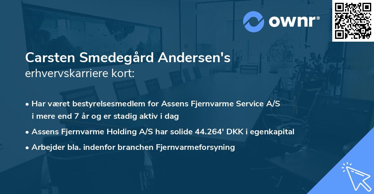 Carsten Smedegård Andersen's erhvervskarriere kort