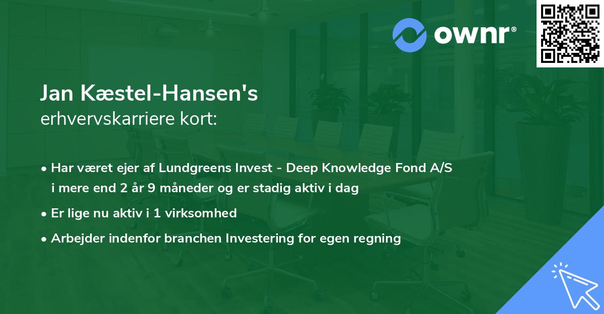 Jan Kæstel-Hansen's erhvervskarriere kort