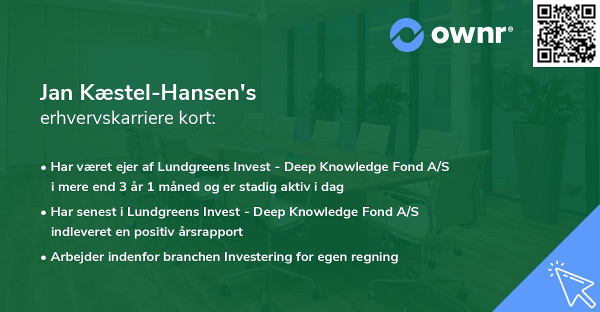 Jan Kæstel-Hansen's erhvervskarriere kort