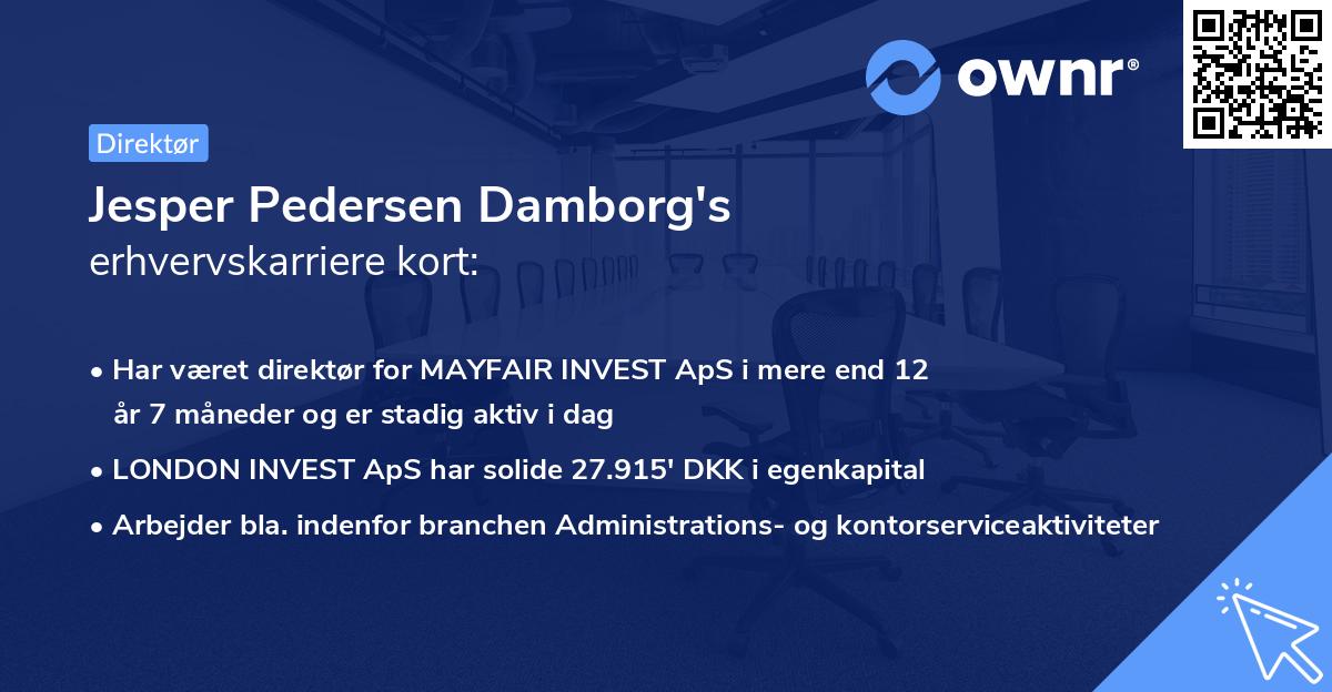 Jesper Pedersen Damborg's erhvervskarriere kort