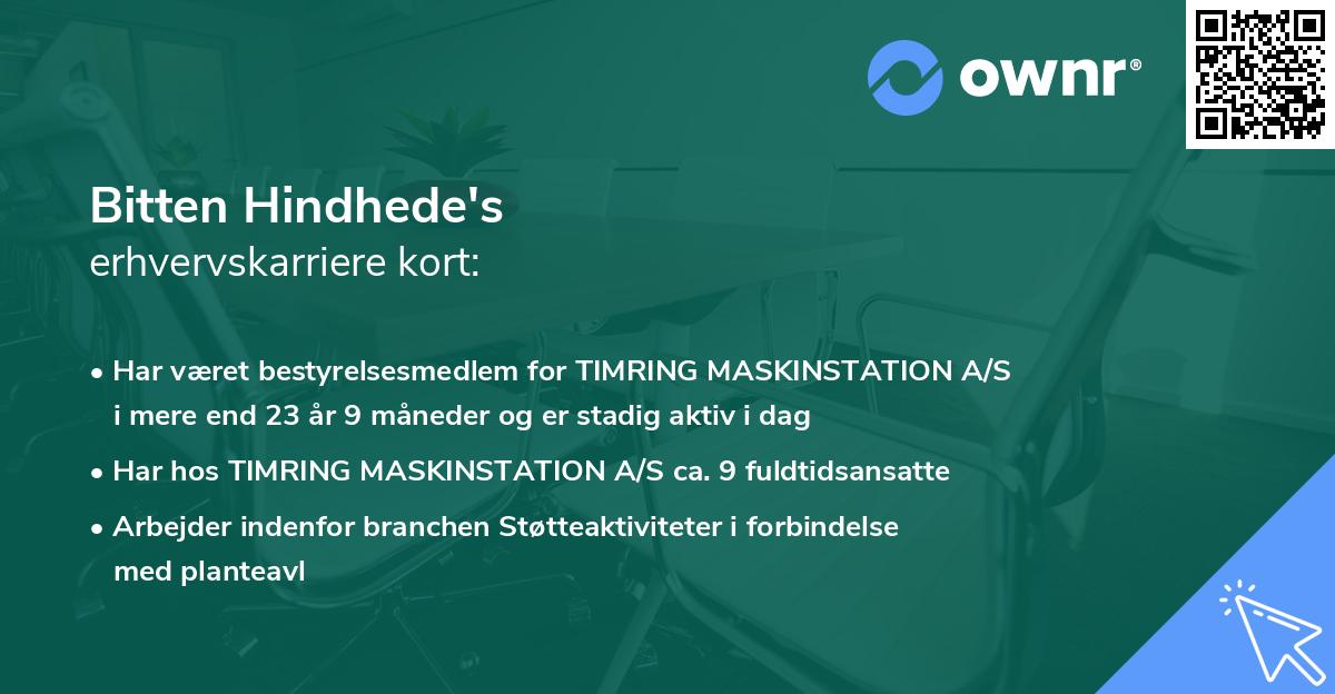 Bitten Hindhede's erhvervskarriere kort