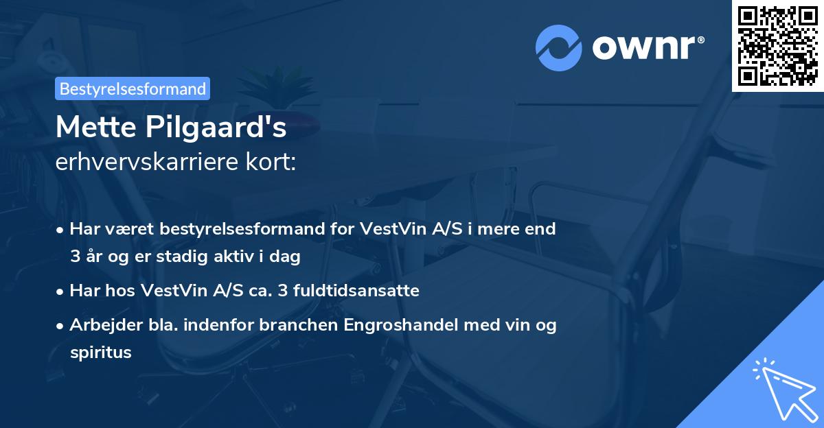 Mette Pilgaard's erhvervskarriere kort