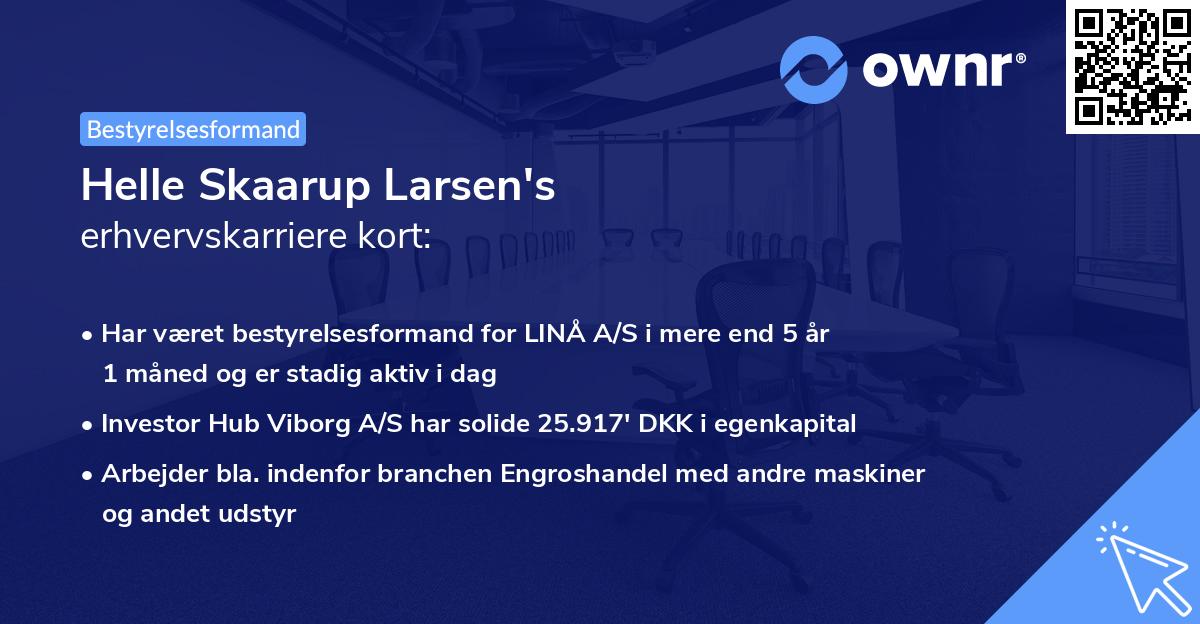 Helle Skaarup Larsen's erhvervskarriere kort