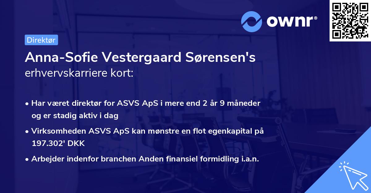Anna-Sofie Vestergaard Sørensen's erhvervskarriere kort