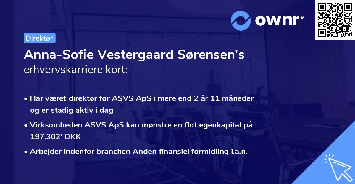 Anna-Sofie Vestergaard Sørensen's erhvervskarriere kort