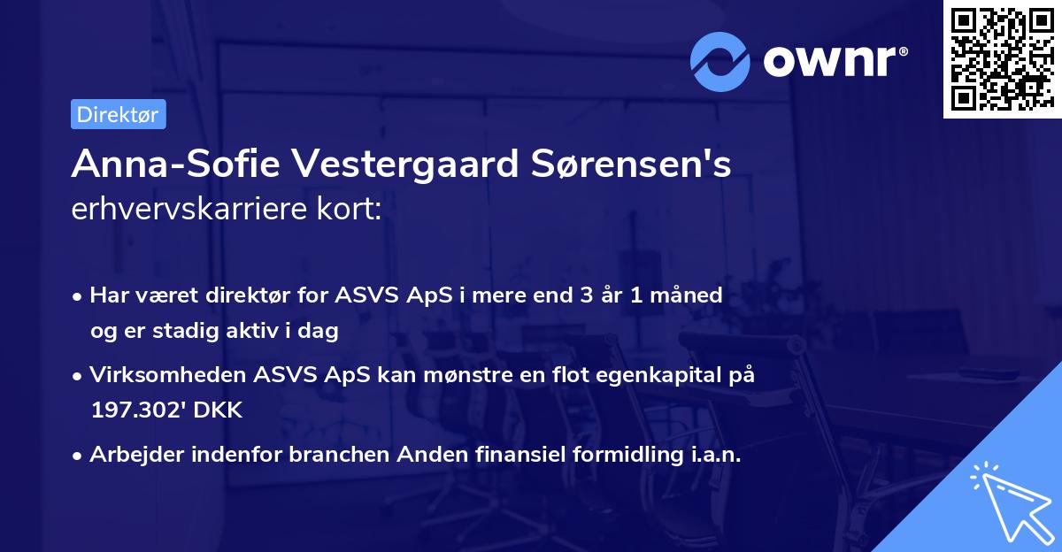 Anna-Sofie Vestergaard Sørensen's erhvervskarriere kort