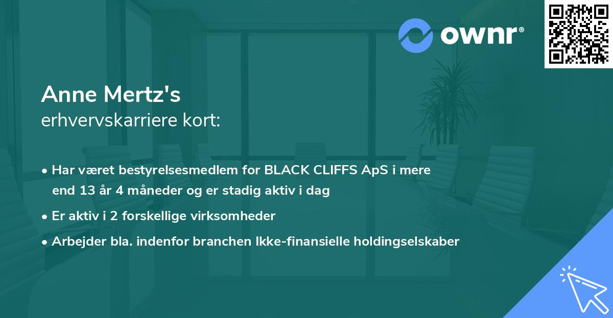 Anne Mertz's erhvervskarriere kort