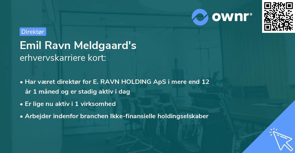 Emil Ravn Meldgaard's erhvervskarriere kort