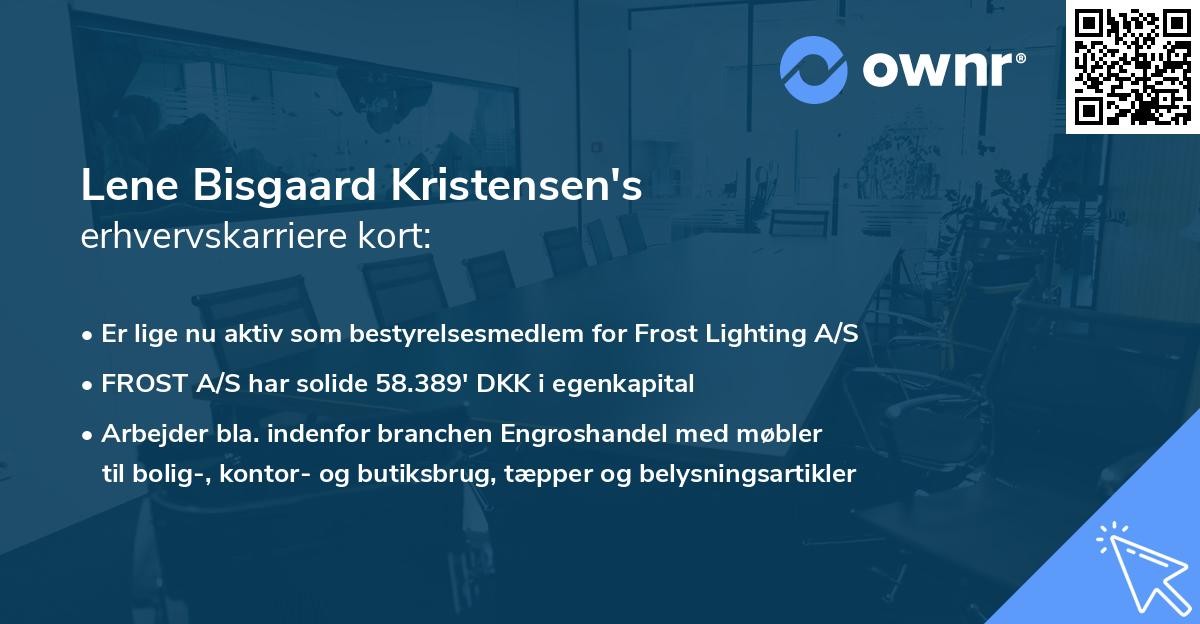 Lene Bisgaard Kristensen's erhvervskarriere kort