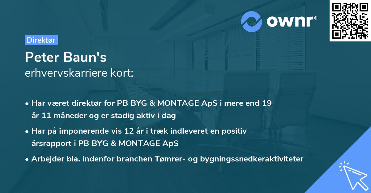 Peter Baun's erhvervskarriere kort