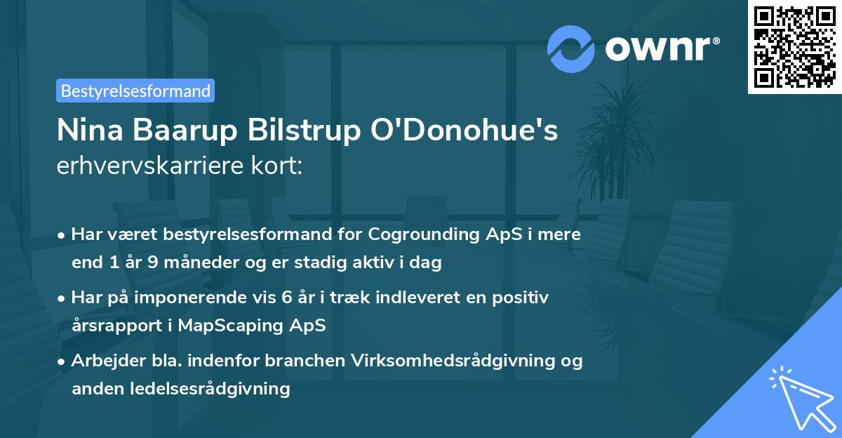 Nina Baarup Bilstrup O'Donohue's erhvervskarriere kort