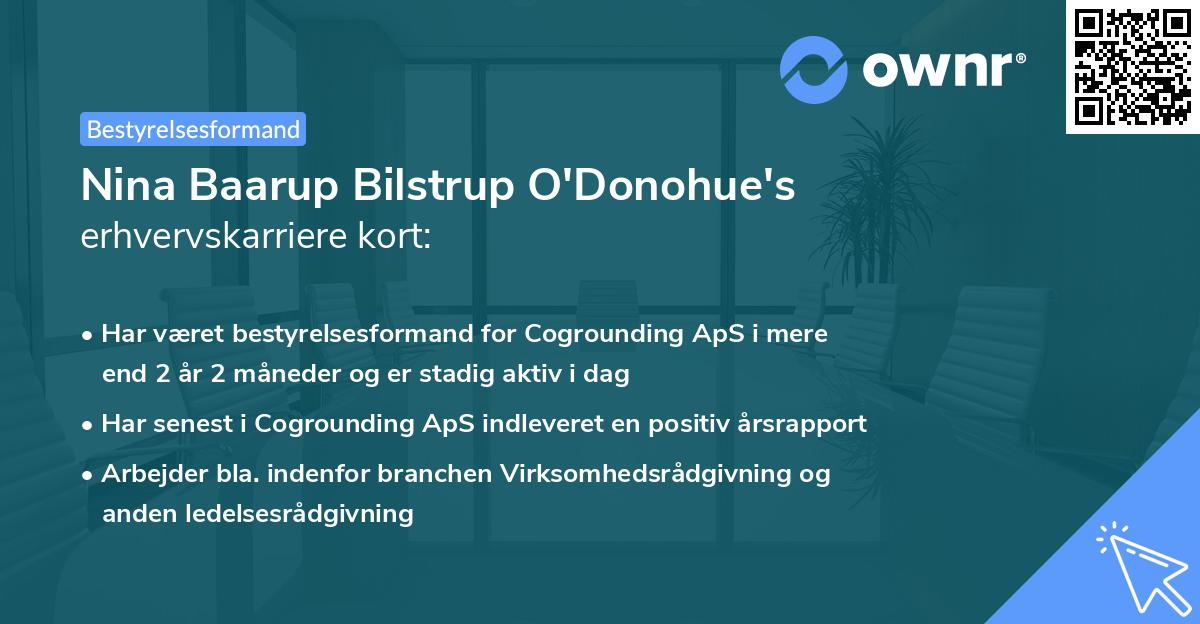 Nina Baarup Bilstrup O'Donohue's erhvervskarriere kort