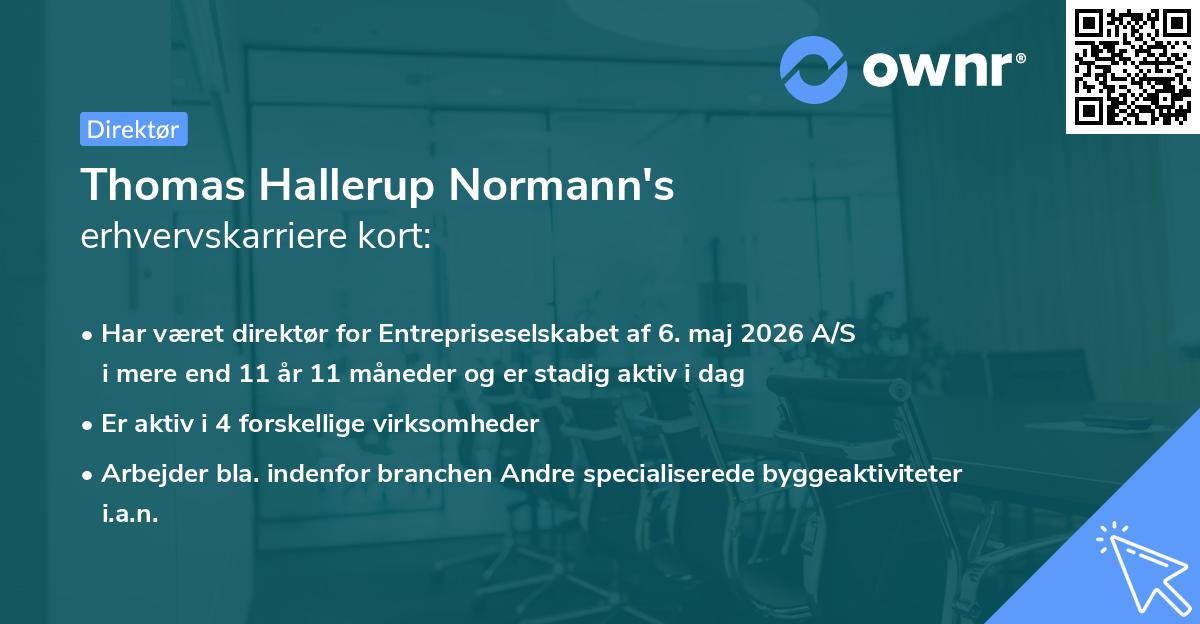 Thomas Hallerup Normann's erhvervskarriere kort