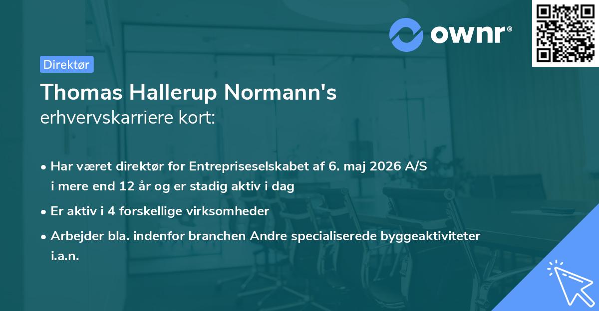 Thomas Hallerup Normann's erhvervskarriere kort