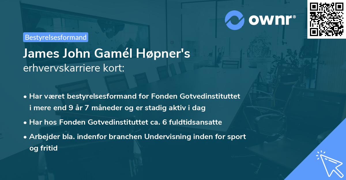 James John Gamél Høpner's erhvervskarriere kort