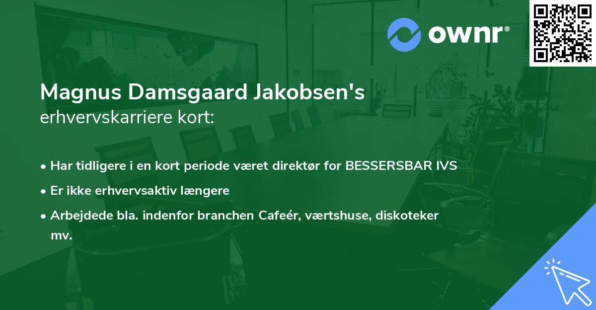 Magnus Damsgaard Jakobsen's erhvervskarriere kort