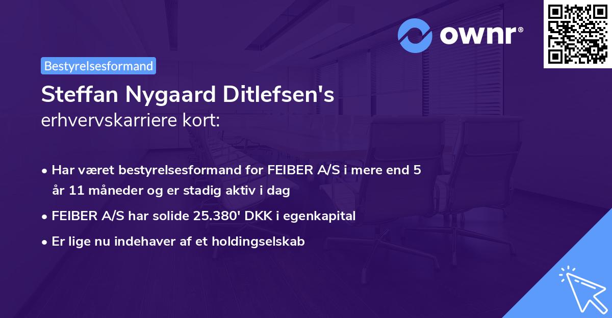 Steffan Nygaard Ditlefsen's erhvervskarriere kort