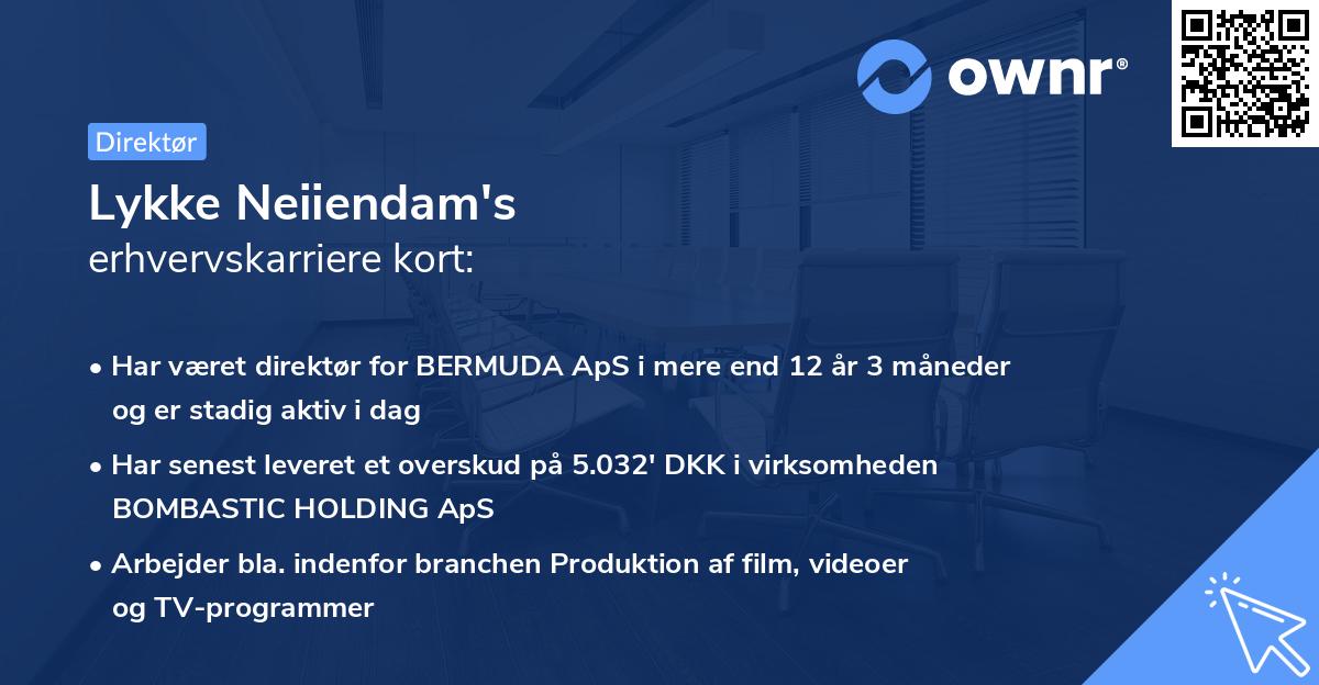 Lykke Neiiendam's erhvervskarriere kort